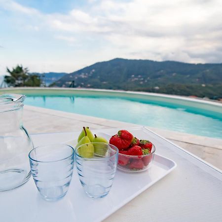 Villa Hanbury With Swimming Pool And Parking In Alassio Dış mekan fotoğraf
